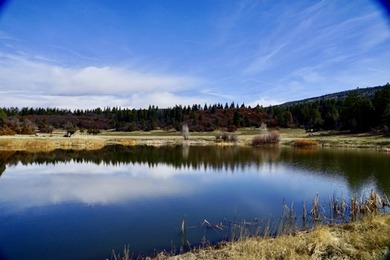 (private lake, pond, creek) Home For Sale in Chama New Mexico