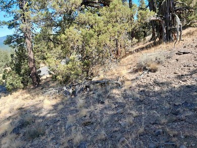 Magificent Mountain Vistas Await You. Breathtaking! When you - photo 44