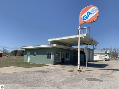 Lake Commercial For Sale in Rapid City, Michigan
