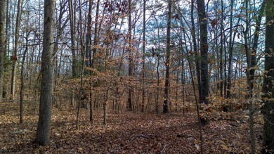 Lake Acreage For Sale in Dandridge, Tennessee