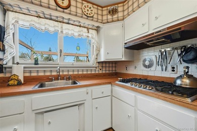 Welcome to 19 Duke Place! This is a beautifully maintained home - photo 17