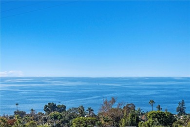31502 Mar Vista - photo 17