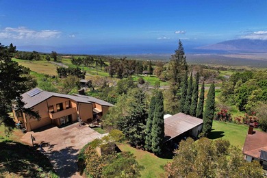 This Kula property consists of THREE separate homes on 2.736 - photo 1