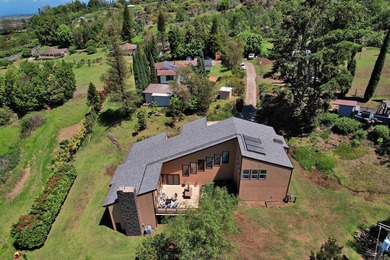 This Kula property consists of THREE separate homes on 2.736 - photo 3