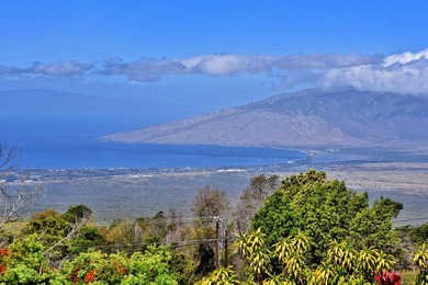 This Kula property consists of THREE separate homes on 2.736 - photo 4