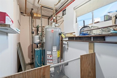 Welcome to 19 Duke Place! This is a beautifully maintained home - photo 28