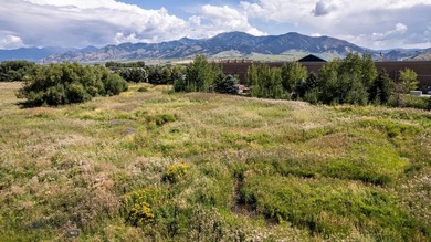 Fantastic development opportunity with multiple options - photo 2