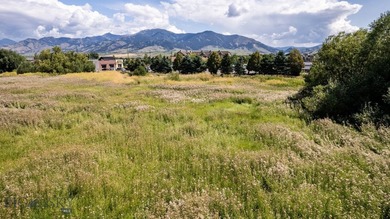 Fantastic development opportunity with multiple options - photo 3