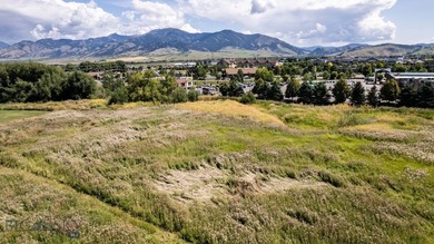 Fantastic development opportunity with multiple options - photo 4
