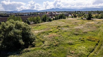Fantastic development opportunity with multiple options - photo 5