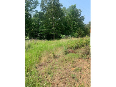Current River Acreage For Sale in Doniphan Missouri