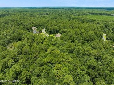 Build your dream home on this 1.33 acre residential lot located - photo 11