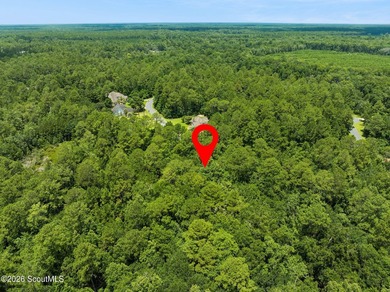 Build your dream home on this 1.33 acre residential lot located - photo 12