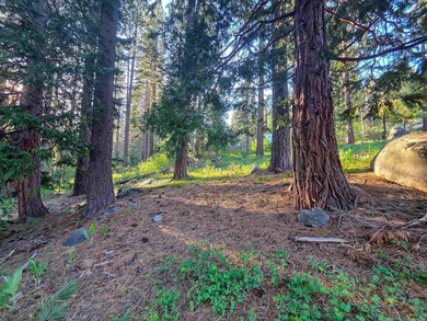 We are proud to offer 15444 Cedar Point Dr, a fantastic - photo 13