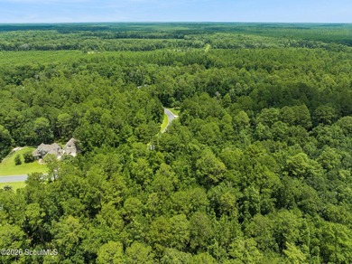 Build your dream home on this 1.33 acre residential lot located - photo 14