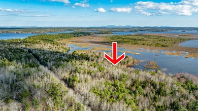 Embrace the quintessential Maine lifestyle with this stunning 3 - photo 14