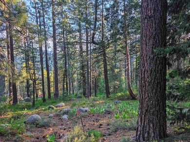 We are proud to offer 15444 Cedar Point Dr, a fantastic - photo 14