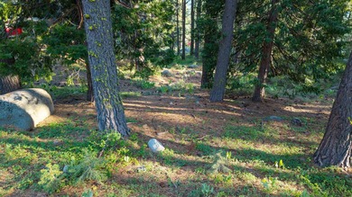 We are proud to offer 15444 Cedar Point Dr, a fantastic - photo 16