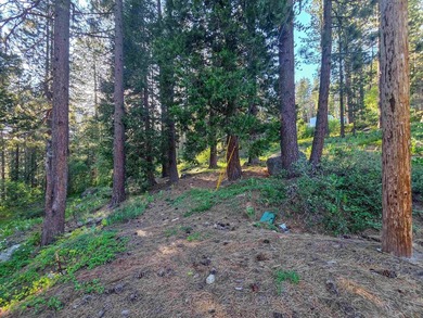 We are proud to offer 15444 Cedar Point Dr, a fantastic - photo 18