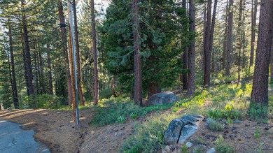 We are proud to offer 15444 Cedar Point Dr, a fantastic - photo 20