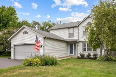 Lake Home For Sale in Fox Lake, Illinois