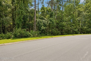 Build your dream home on this 1.33 acre residential lot located - photo 32