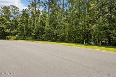 Build your dream home on this 1.33 acre residential lot located - photo 34