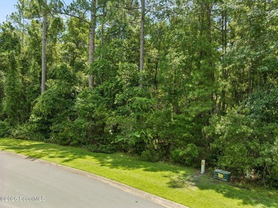 Build your dream home on this 1.33 acre residential lot located - photo 36