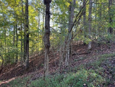 Lake Lot For Sale in Hayesville, North Carolina