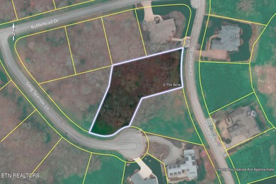 LAKE & MOUNTAIN VIEWS on large lot (.75 acres). Beautiful