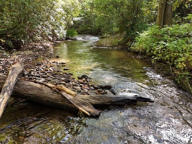 Hiawassee River Acreage For Sale in Hiawassee Georgia