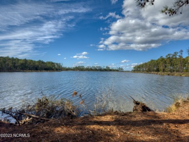 Pungo River - Hyde County Acreage For Sale in Scranton North Carolina