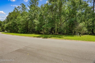 Build your dream home on this 0.68 acre residential lot located - photo 17