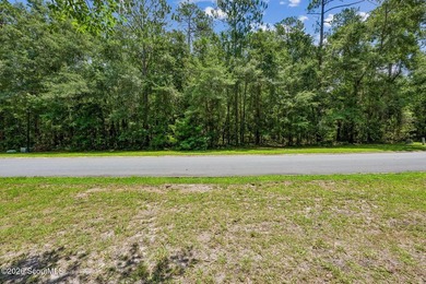 Build your dream home on this 0.68 acre residential lot located - photo 18