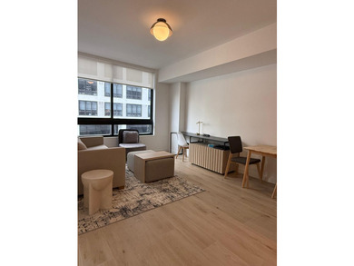225 N Miami Ave 804 - photo 5