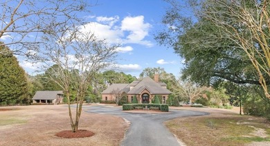 (private lake, pond, coastal) Home For Sale in Pinckard Alabama