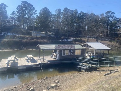 Owner retiring allowing this great business opportunity on Lake - photo 1