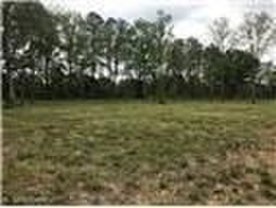 (private lake, pond, coastal) Acreage For Sale in Centerpoint Louisiana