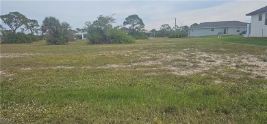 Lake Lot For Sale in Cape Coral, Florida