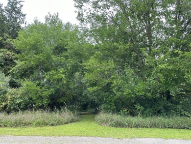 Lake Lot For Sale in Brooklyn, Michigan