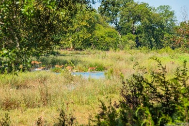 This 576 acre ranch offers a rare combination of a quarter mile - photo 3