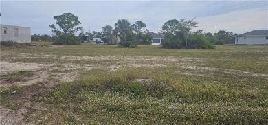 Lake Lot For Sale in Cape Coral, Florida