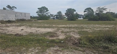 Excellent opportunity to build your dream home in Cape Coral - photo 2