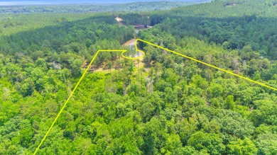 Lake Acreage For Sale in Soddy Daisy, Tennessee