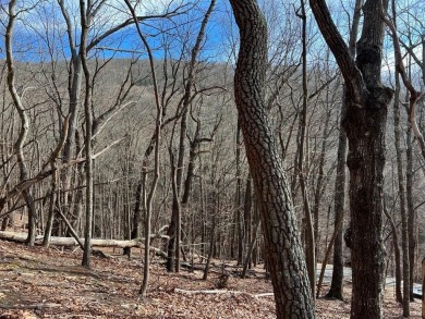 Lake Lot For Sale in Jasper, Georgia