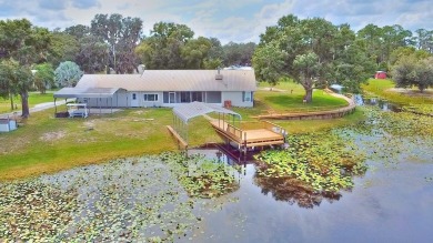 Lake Home For Sale in Salt Springs, Florida