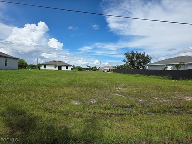 Excellent opportunity to build your dream home in Cape Coral - photo 2
