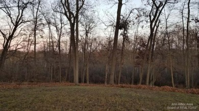 Tims Lake Lot For Sale in Grass Lake Michigan