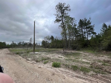 This piece of country land, spanning 3.24 acres, that has been - Lake Acreage For Sale in Colmesneil, Texas