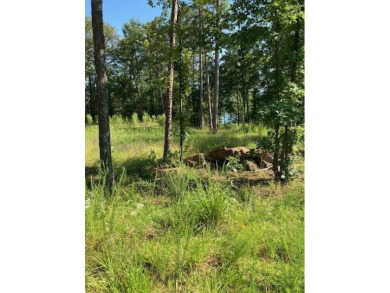 Lake Lot For Sale in Clinton, Arkansas